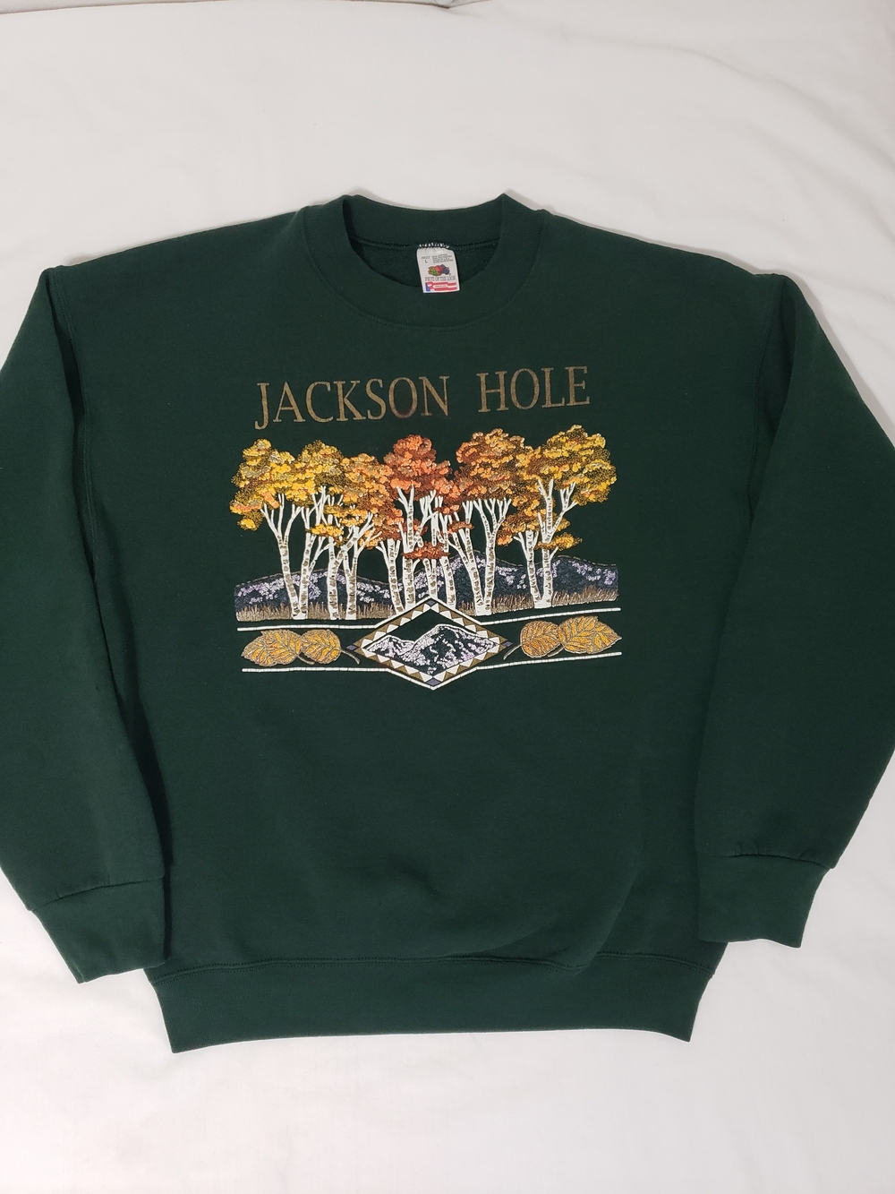 Vintage 90s Jackson Hole Wyoming Fruit of the Loom Green Sweatshirt USA L - Picture 2 of 8